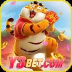 y3bet King Casino App